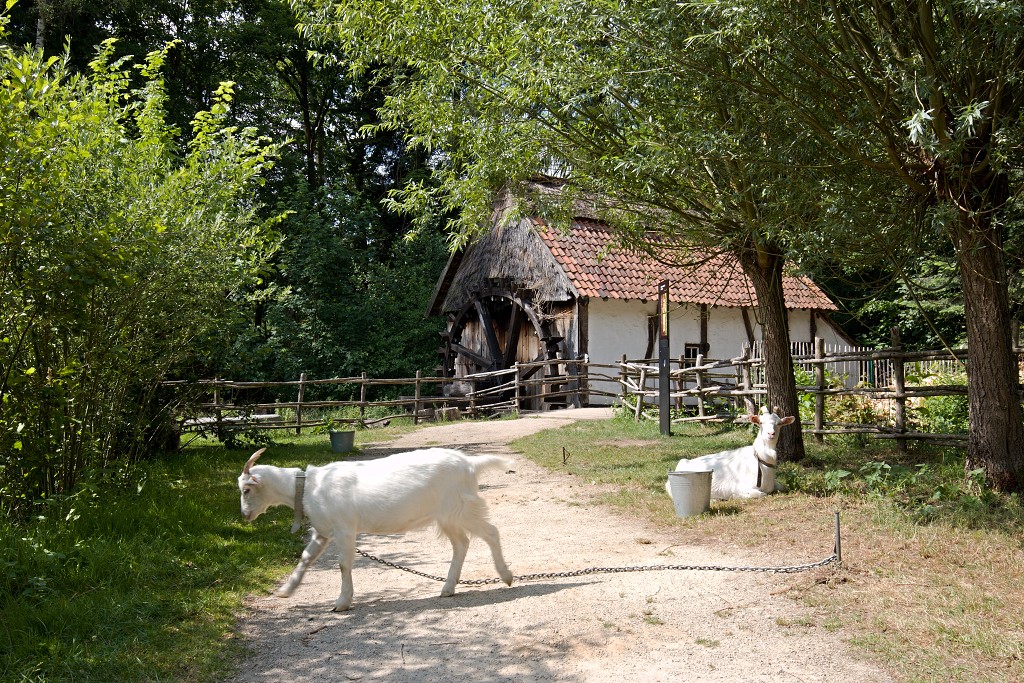 Openluchtmuseum Bokrijk museum belgie hoeve boerderij geit station molen kasteel kerk smidse